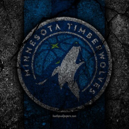 Minnesota Timberwolves