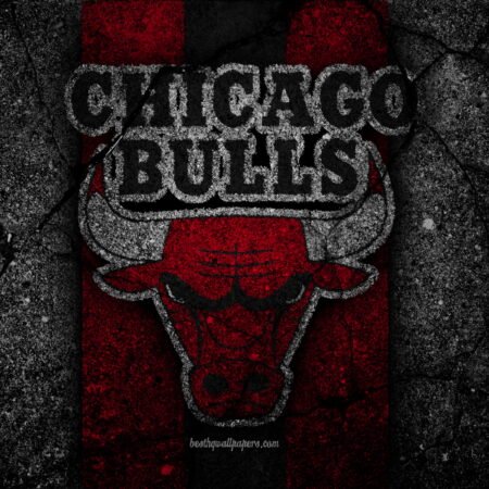Chicago Bulls